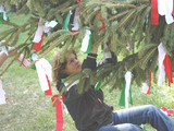 und Maria muß unter den Baum